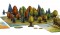 Photosynthesis Board Game